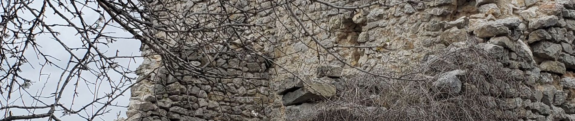 Tour Wandern Barrême - barrême  chateau  plus haut  chaudon 19.5km 860m - Photo