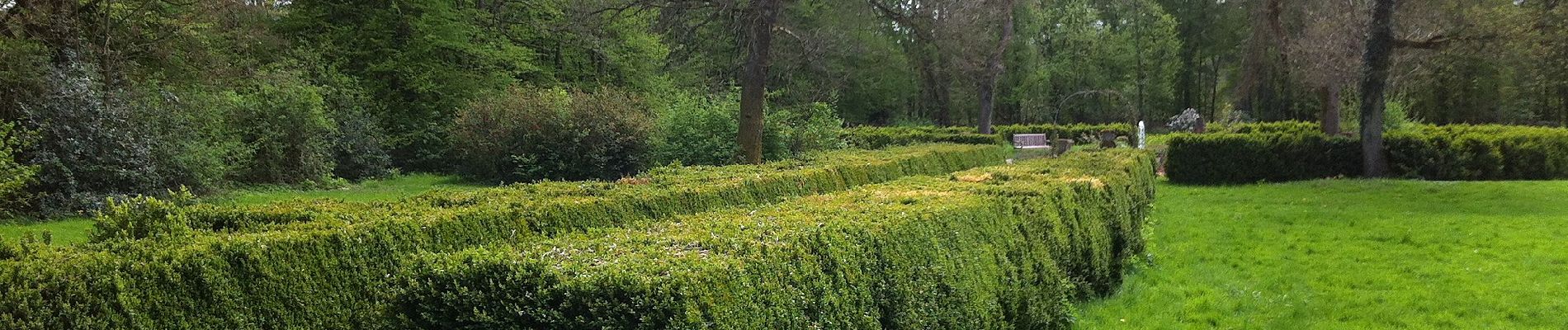 Percorso A piedi Wadern - Schloss Münchweiler Weg - Photo