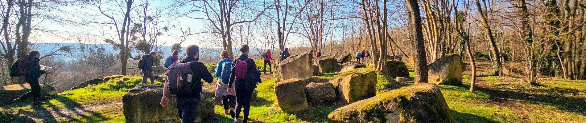 Trail Walking Marcoussis - Boucle 21 km autour de Marcoussis - Photo