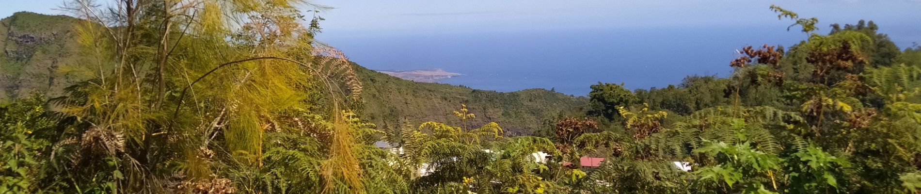 Tour Wandern La Possession - Découverte pente des croix  Dos d'ane - Photo