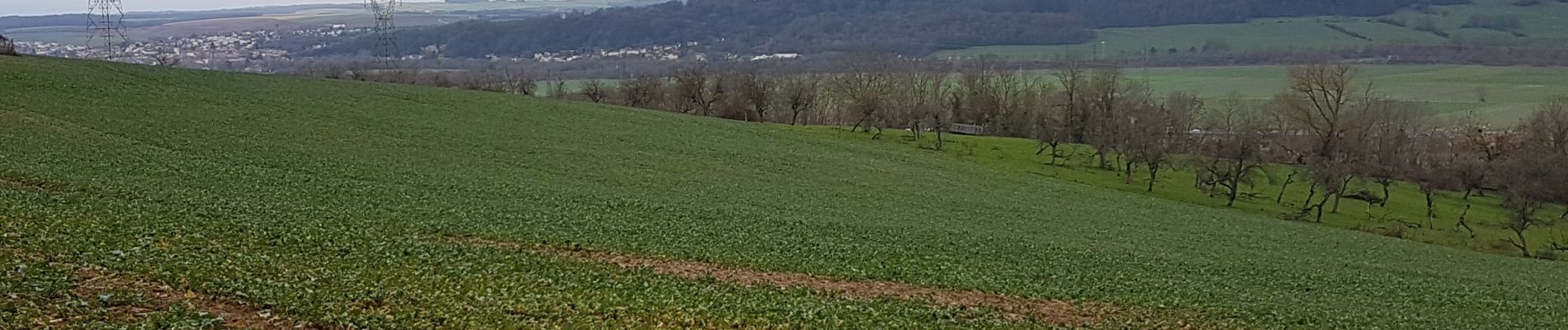 Tocht Stappen Loisy - LES HAUTEURS DE LOISY - Le Grand Couronné - Photo