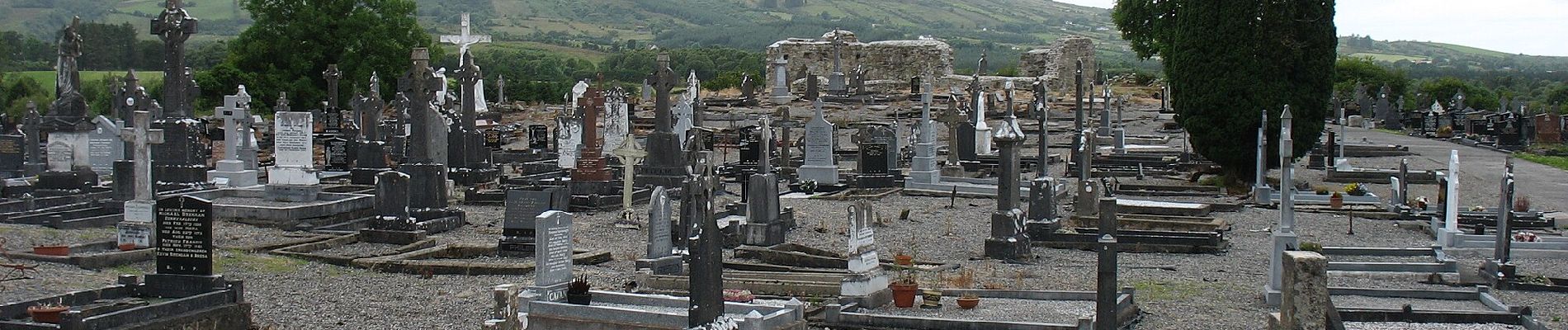 Percorso A piedi Claremorris-Swinford Municipal District - Slieve Cairn Foothills - Photo