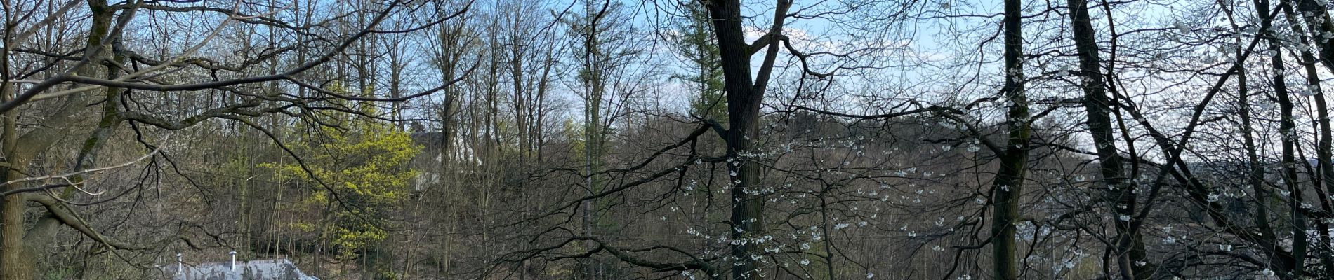 Excursión Senderismo Beauvechain - Meerdael et molendaal à partir de Hamme Mil - Photo