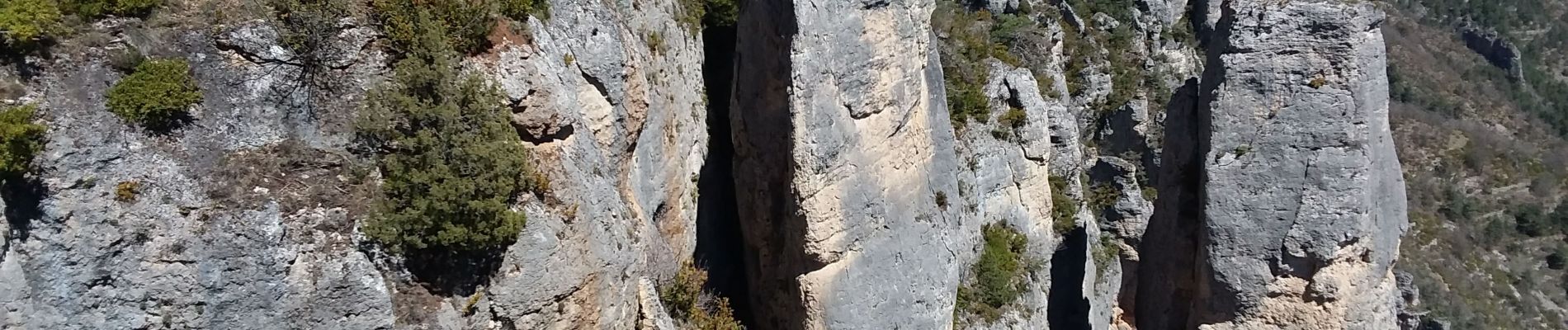 Randonnée Marche Le Rozier - Les corniches des gorges de la Jonte et du Tarn - Photo