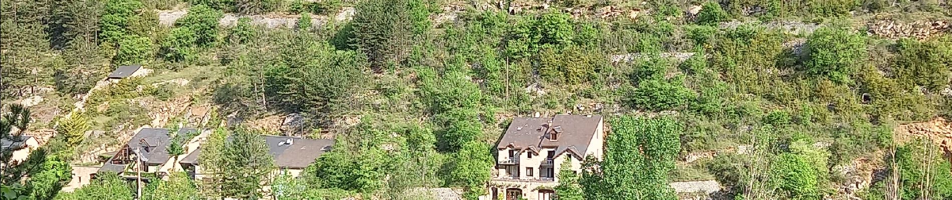 Punto di interesse Gorges du Tarn Causses - Quitter route à droite  - Photo