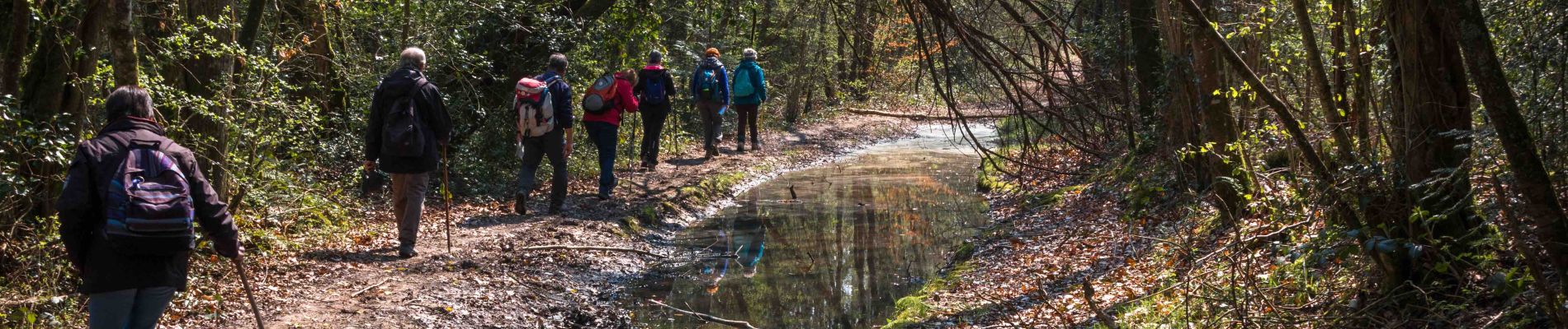 Trail Walking Soligny-la-Trappe - Soligny-la-Trappe - Tourouvre - voie Sud 11 Km - Photo