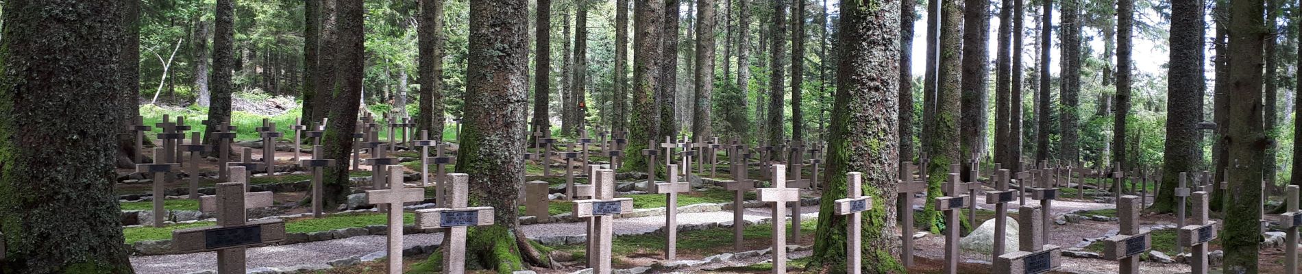 Tour Wandern Diedolshausen - Tête des faux . - Photo