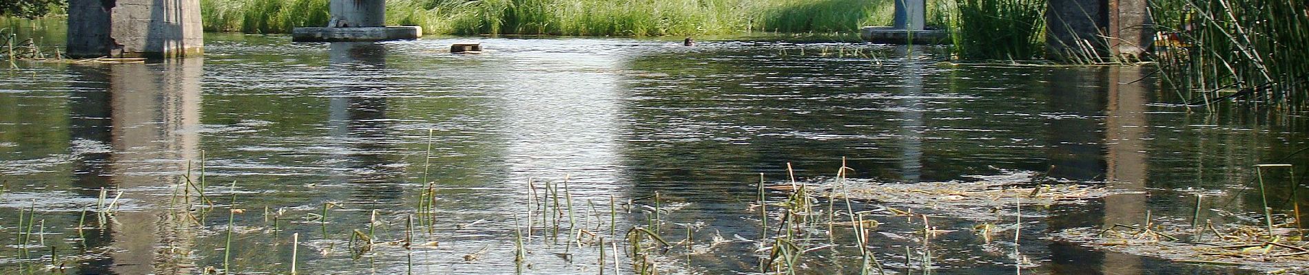 Tour Zu Fuß Wysoki Most - Ścieżka edukacyjna Puszcza - Photo