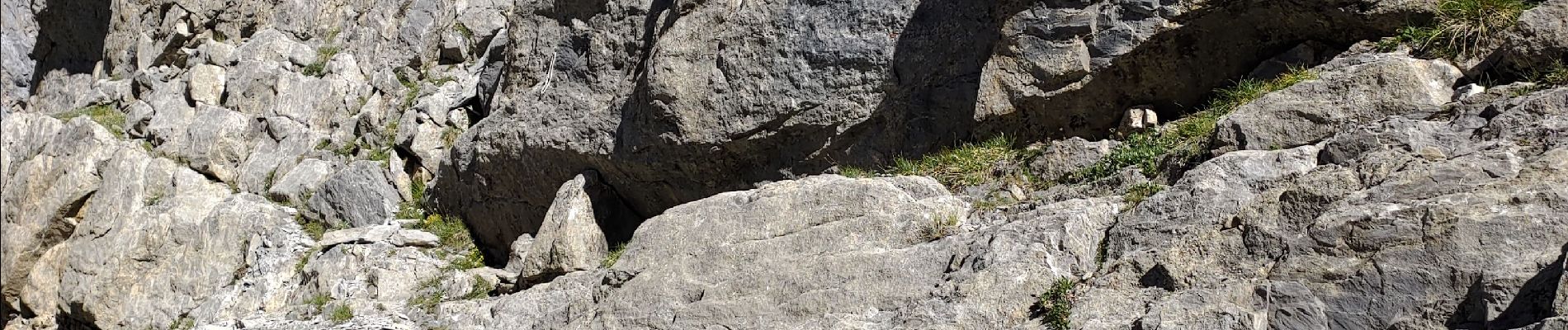 Tour Wandern Pralognan-la-Vanoise - Arête Ouest de l'aiguille du petit Arcelin - Photo