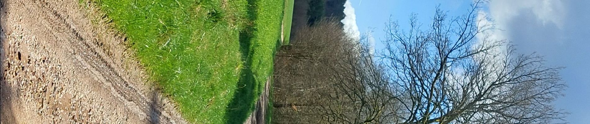 Randonnée Marche Aydoilles - balade autour et dans Aydoilles - Photo