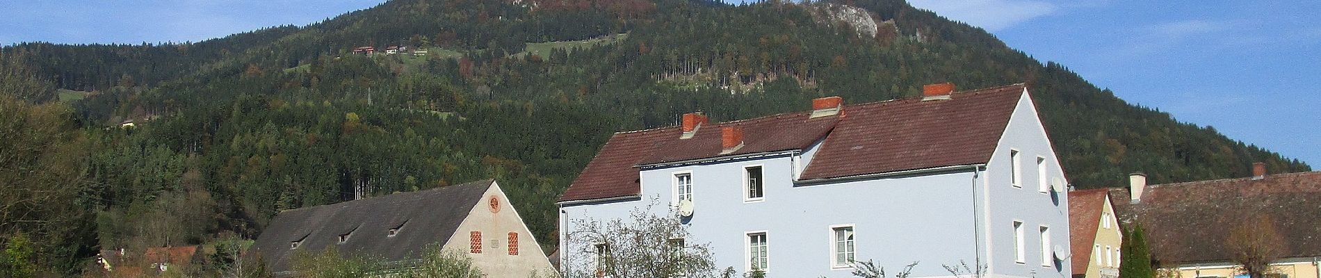 Percorso A piedi Frohnleiten - Wanderweg 10 Gschwendtrundweg - Photo