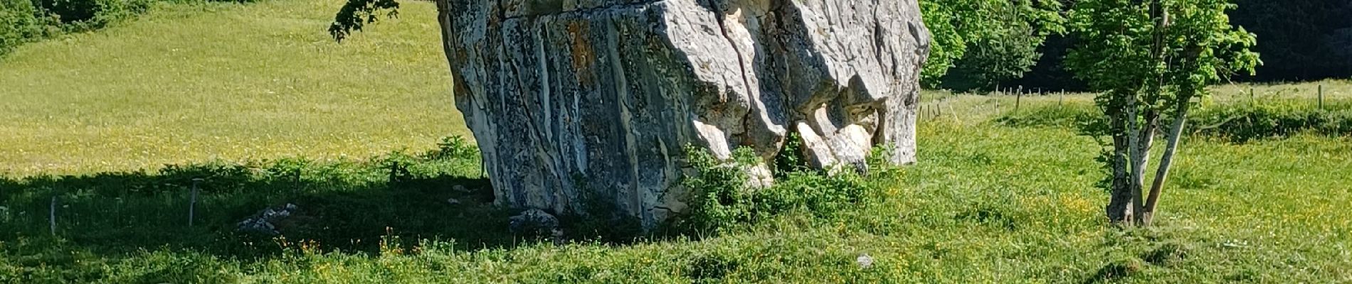 Tocht Stappen Rencurel - Col de Romeyere  - Photo