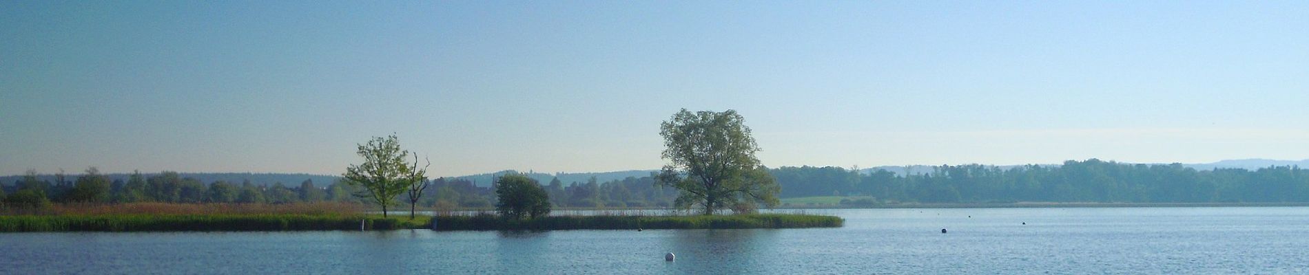 Trail On foot Schwerzenbach - Schwerzenbach - Hirslanden - Photo