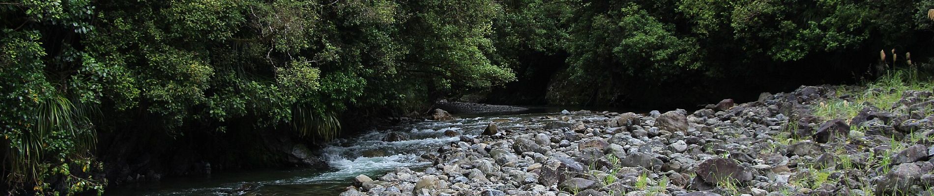 Trail On foot Unknown - Te Araroa - 06 Wellington - a Poads Road, Levin to Otaki Forks - Photo