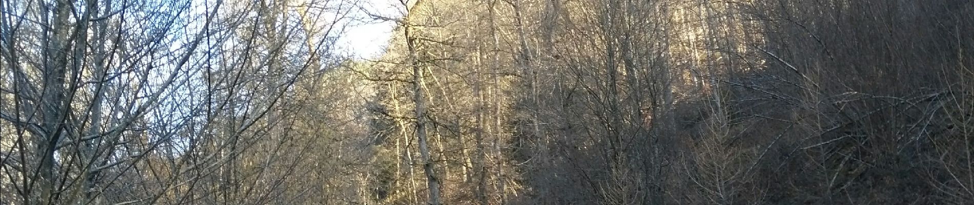 Tour Wandern Hohenfels - Halleu - Tibièwé - Photo