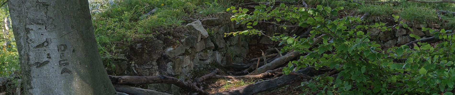 Randonnée A pied Maria Lankowitz - Wanderweg L2 - Photo