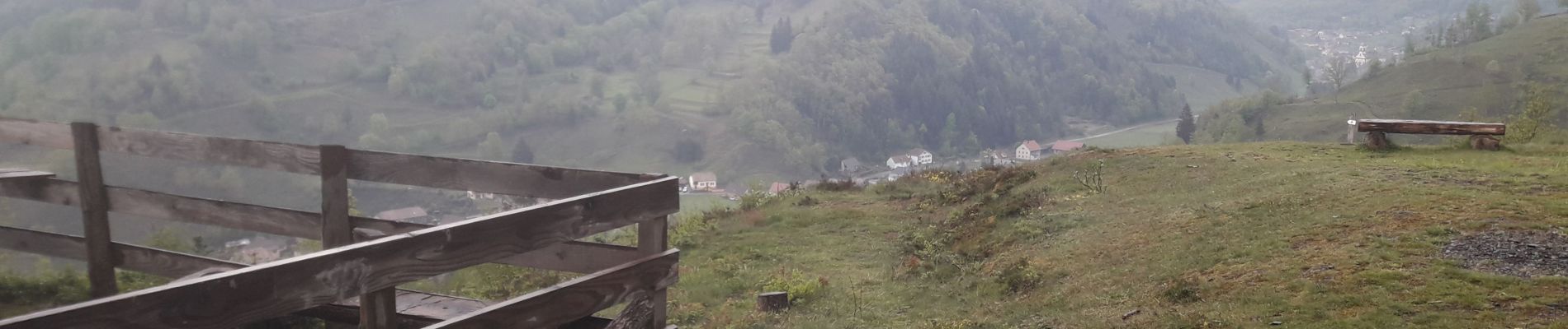 Tocht Stappen Storckensohn - le Sternsee depuis Storckensohn par la grande cascade et le Gazon Vert - Photo