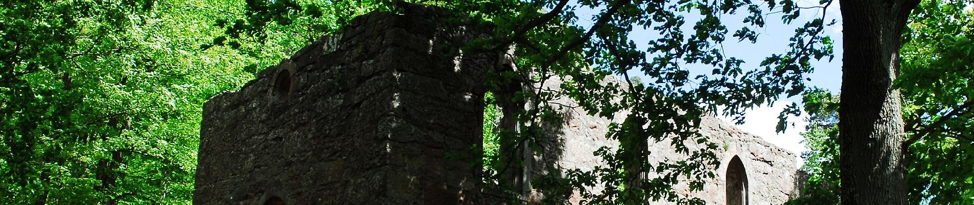 Randonnée A pied Bürgstadt - Rundwanderweg Bürgstadt Stutz 7: Rund um den Wannenberg - Photo