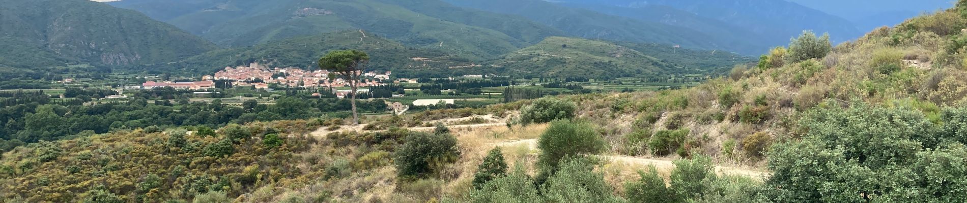 Tour Wandern Ille-sur-Têt - Ille-sur-Têt - Photo