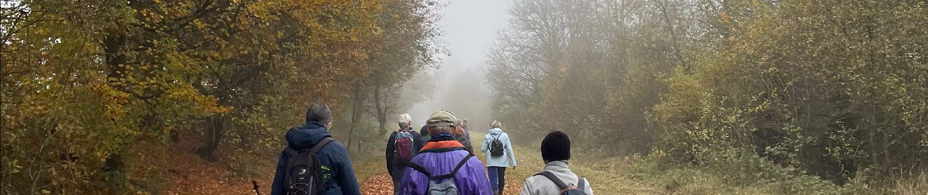 Tour Wandern Stablo - Ster Francorchamps - Photo