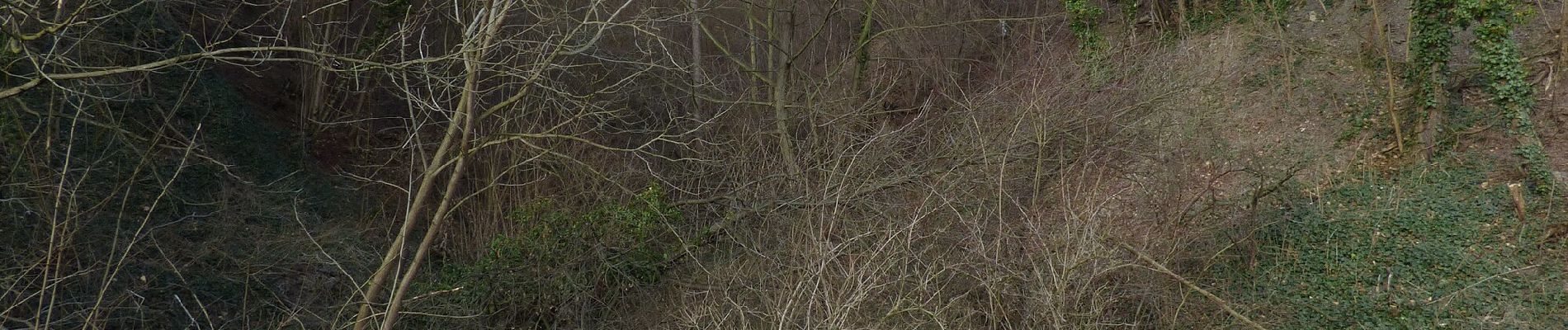 Percorso A piedi Hradištko - NS na Medníku - Photo