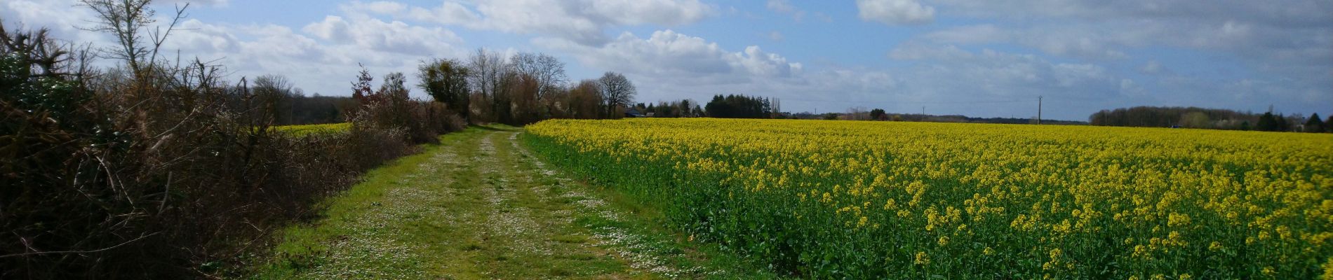 Excursión Senderismo Tauxigny-Saint-Bauld - Tauxigny - 26.7km 170m 5h20 (30mn) - 2021 03 27 - Photo