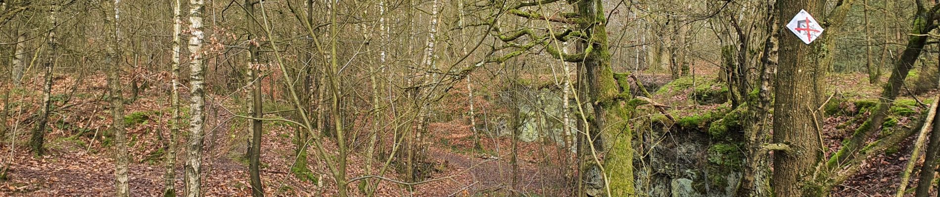 Tocht Stappen Belœil - ADEPS - Granglise (Amis de la nature) - Photo