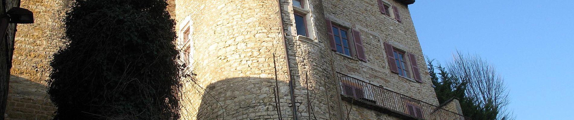 Tocht Te voet Chazay-d'Azergues - Tour des Pierres Dorées en Beaujolais - Photo