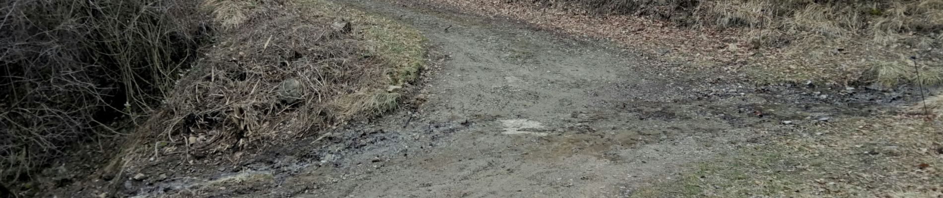 Percorso Marcia Le Castellard-Mélan - Boucle 3,7 km au départ de Fontbarliere par Manent et les Collons - Photo