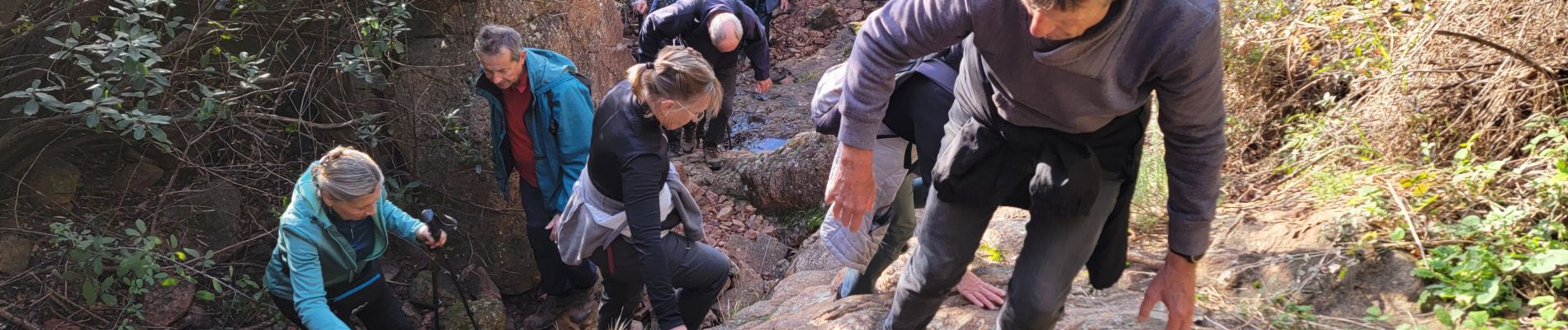 Tour Wandern Le Muy - La Combe Renaude et le Pic Rébéquier - Photo