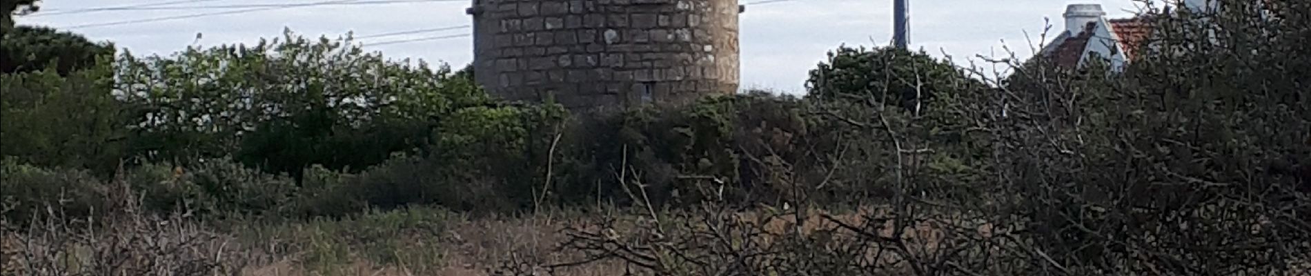 Percorso Bici da strada Quiberon - Quiberon nord - Photo