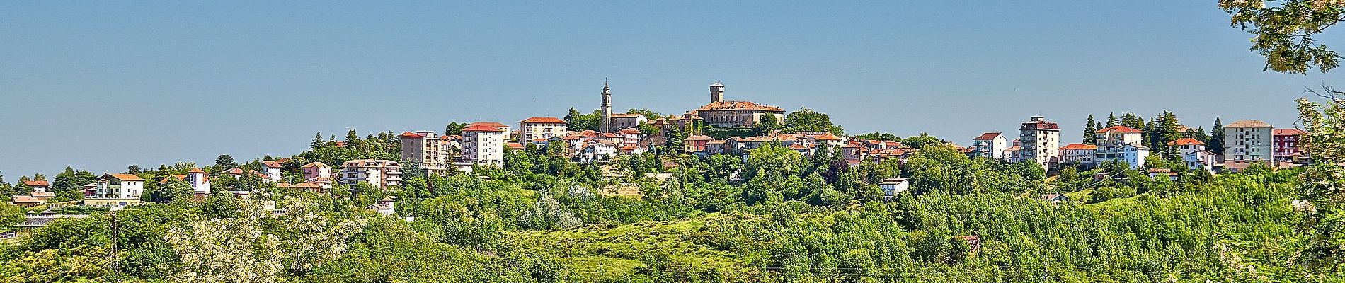 Excursión A pie Belforte Monferrato - Belforte Monferrato - Monte Colma - Photo