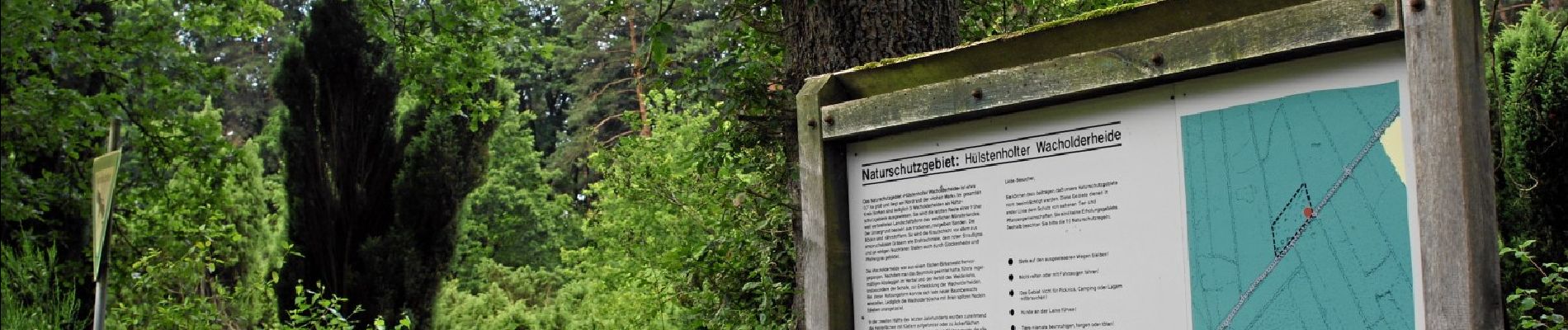 Percorso A piedi Reken - Nordic Walking Rundweg Hülsten H3 - Photo