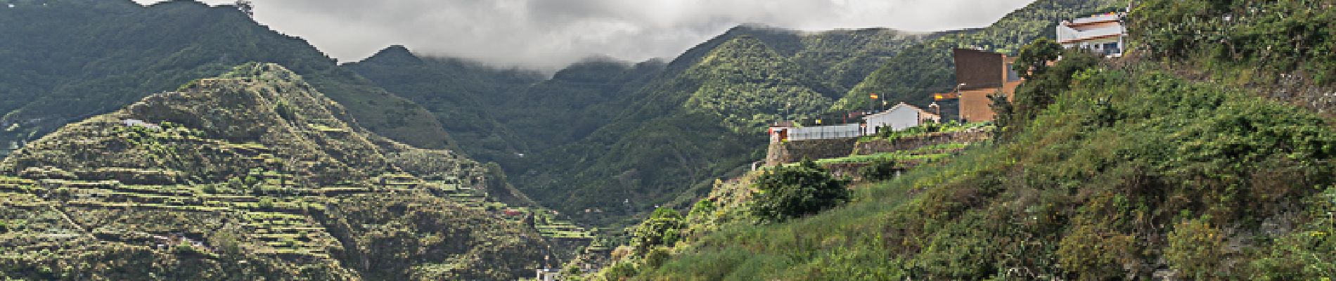 Tocht Stappen San Cristóbal de La Laguna - Los Platanes Saint Cristobal de La Laguna - Photo