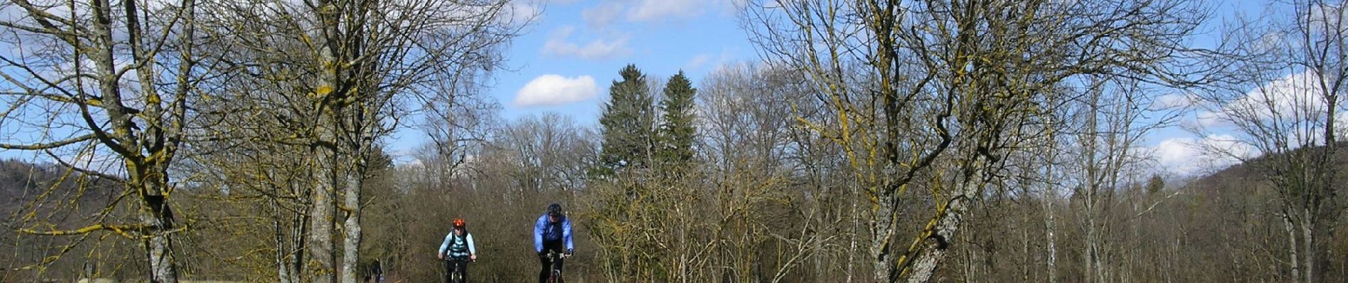 Randonnée A pied Schäftlarn - Isar Erlebnispfad 