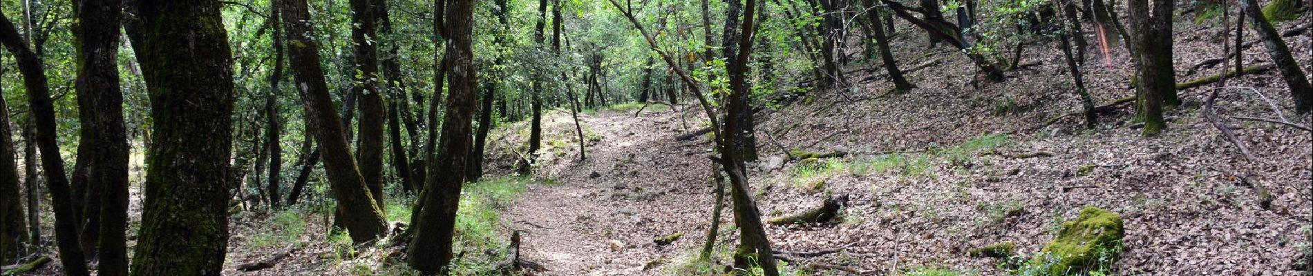 Trail Walking Méounes-lès-Montrieux - SityTrail - montrieux gapeau - Photo