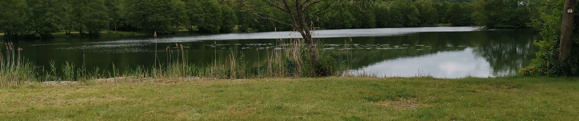 Tocht Stappen Flavigny-sur-Moselle - Flavigny sur moselle - Photo