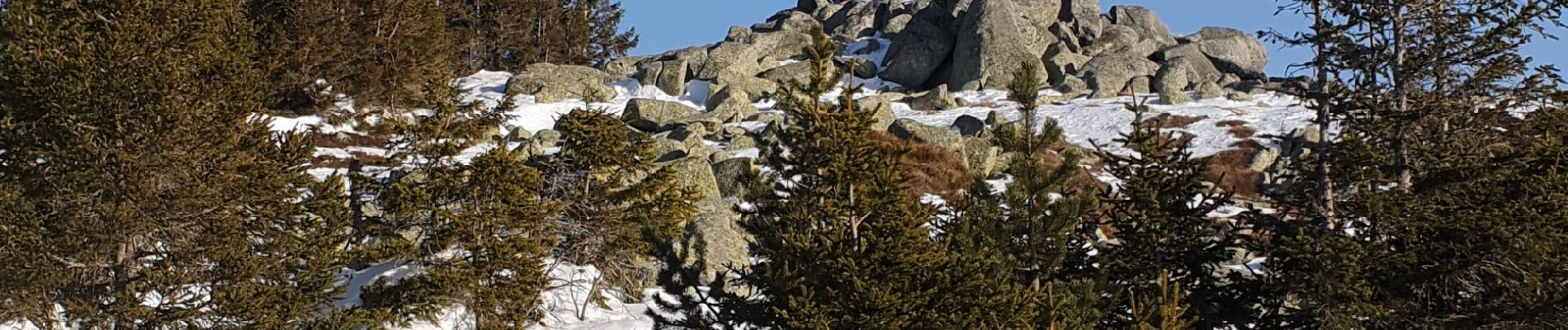 Randonnée Raquettes à neige Pont de Montvert - Sud Mont Lozère - Mas de la Barque l'Aubaret et Cassini - Photo