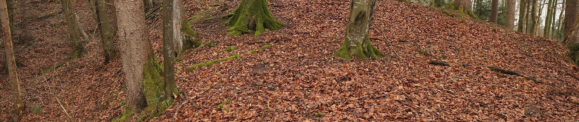 Randonnée A pied Tettnang - Unterwolfertsweiler-Gitzensteig-Rattenweiler - Photo