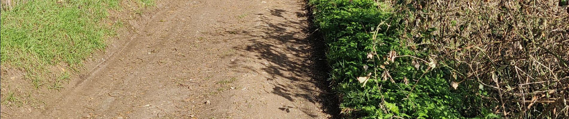 Randonnée V.T.T. Morgny-la-Pommeraye - Petit parcours - Photo