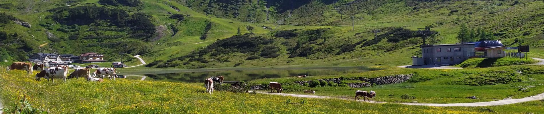 Excursión Senderismo Untertauern - Seekarspitze - Photo