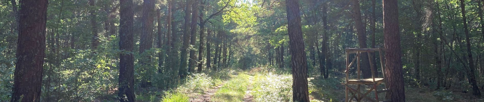 Tocht Stappen Saint-Christol - Grand-Bois Saint-Christol (grand tour) - Photo