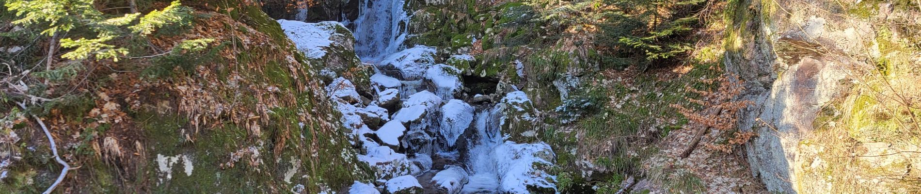 Trail Walking Lepuix - Saut de la Truite - cascade du Rummel - Etang du Petit-Haut - Ballon d'alsace - Photo