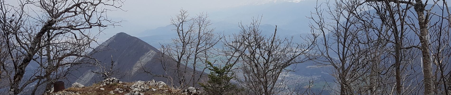 Excursión Senderismo Le Gua - Un tour de L'Eperrimont par le sommet ! - Photo