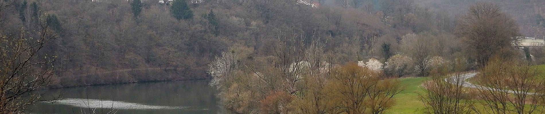 Tocht Te voet Schönbrunn - Rundwanderweg Hirschhorn 2: Neckar-Weg - Photo