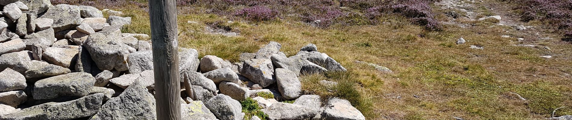 Tour Wandern Cubières - Mont Lozère  - Photo