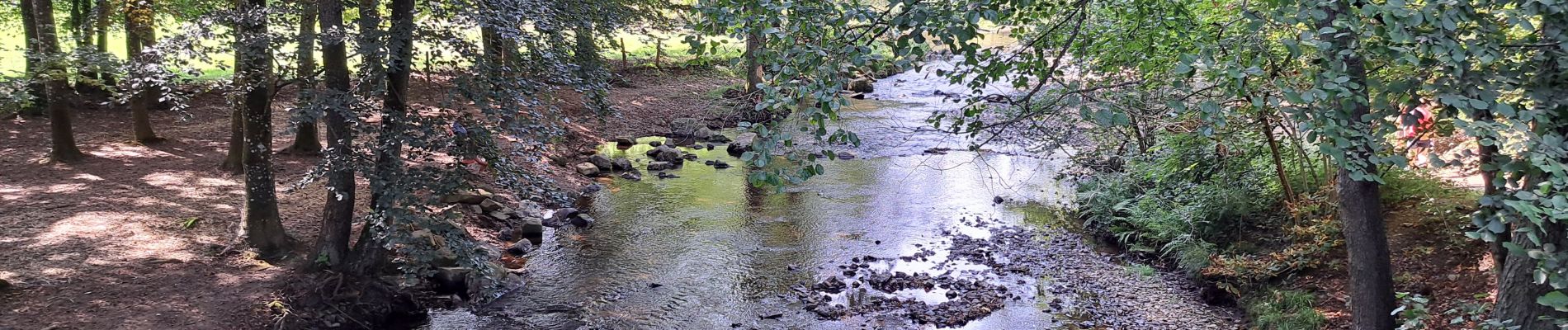 Trail Walking Stavelot - Marche ADEPS Stavelot - Photo