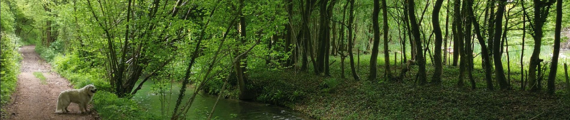 Randonnée Marche Saint-Pierre-Bénouville - st pierre benouville chemin des frenettes - Photo