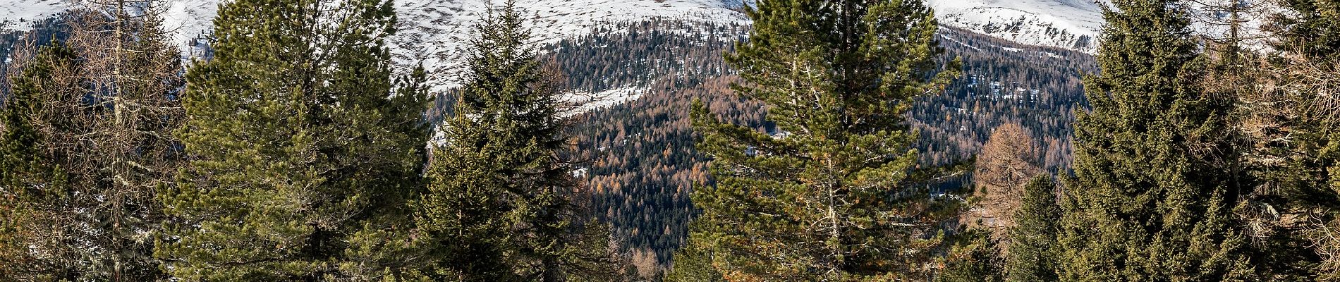 Excursión A pie Albeck - Vier-Aussichtspunkte-Weg - Photo