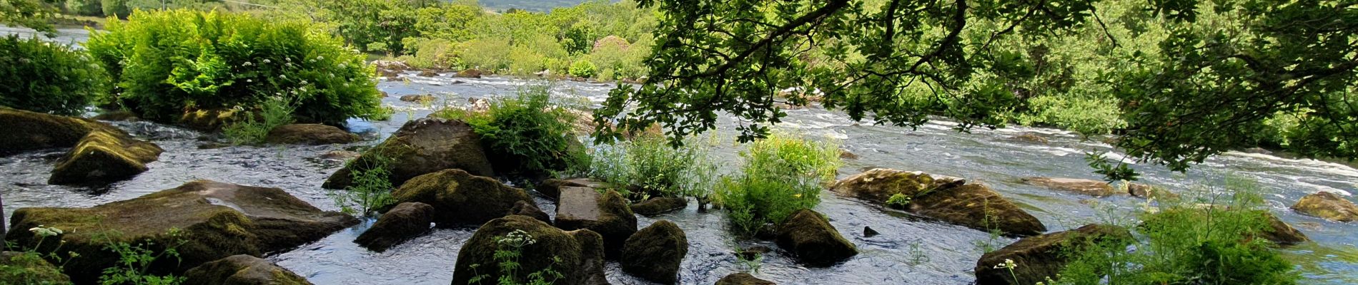 Tour Wandern Kenmare Municipal District - Glencar - Glengeigh - Photo